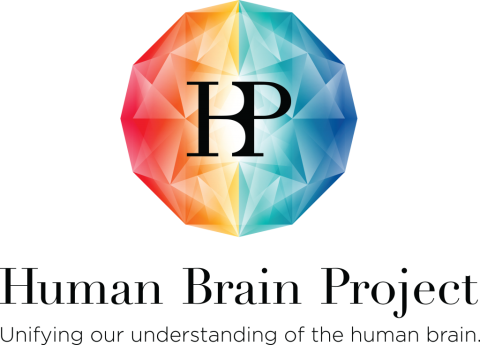 human brain project